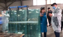 In 2019, glass factories of the Vladimir region shipped products worth 25 billion rubles