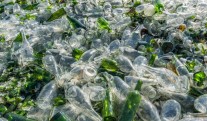 Over 500 thousand tons of glass and plastic were sent for processing in the Moscow region