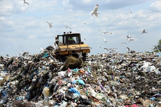 The Accounts Chamber called the garbage situation in Russia unfavorable