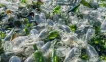 Khabarovsk residents massively give glass for recycling
