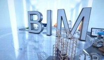     BIM  